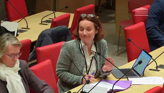 Modèle économique des crèches et qualité de l’accueil des jeunes enfants : Auditions diverses - Mardi 6 février 2024