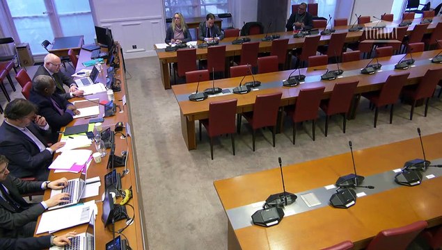 Gestion des risques naturels majeurs dans les territoires d’outre-mer : Auditions diverses - Jeudi 1 février 2024