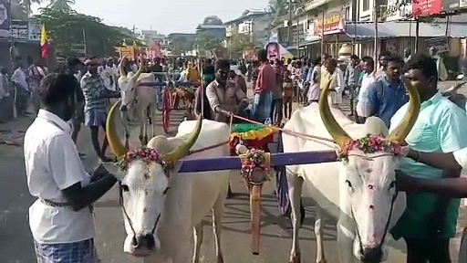 பேரரசர் பெரும்பிடுகு முத்தரையர் சதய விழா; கோலாகலமாக நடைபெற்ற மாட்டு வண்டி பந்தயம்