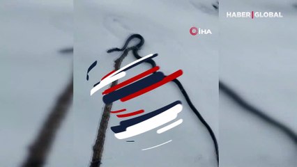 O ilimizde ortaya çıktılar! Vatandaşlar tedirgin: Her yerdeler, deprem mi olacak?