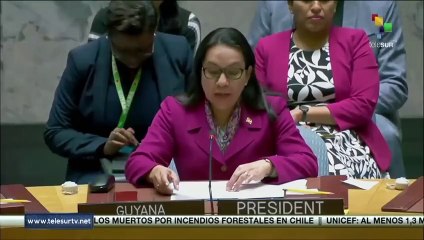 Consejo de Seguridad de la ONU debate sobre agresión contra Siria e Irak