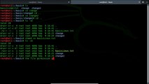 Basic Kali Linux Commands Tutorial