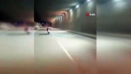 Görüntüler Bursa'dan... Canını hiçe saydı