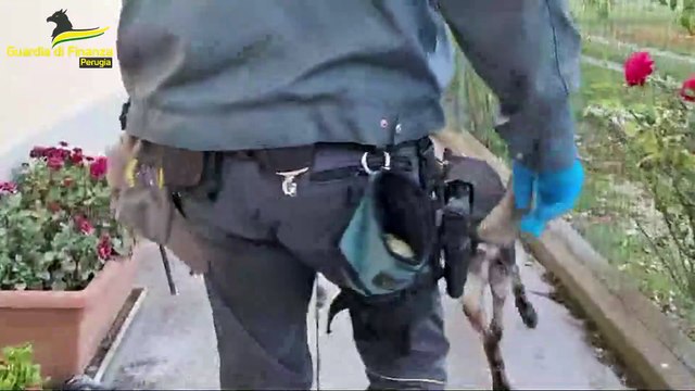 Perugia, l'operazione della Guardia di Finanza: cinque arresti