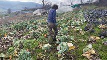 Saint-Chamond : Les travaux de l'échangeur de la Varizelle ont débuté