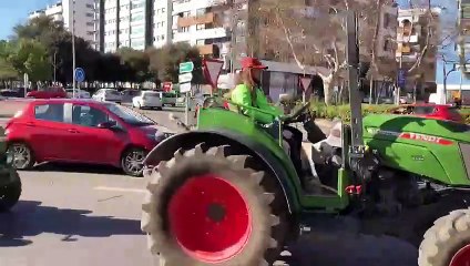 Columna de pagesos que es dirigeix al port de Castelló