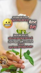 Happy Rose Day   #shorts #shortsfeed #roseday #happyroseday #valentineweek #trending #viral