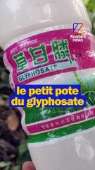 Ce pesticide que tu ne connais pas encore