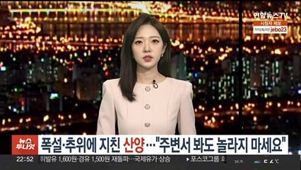 폭설·추위에 지쳐 산 아래로 오는 멸종위기종 산양…"놀라지 마세요"