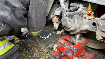 Le tramway s’arrête brusquement : les pompiers entament une course contre la montre