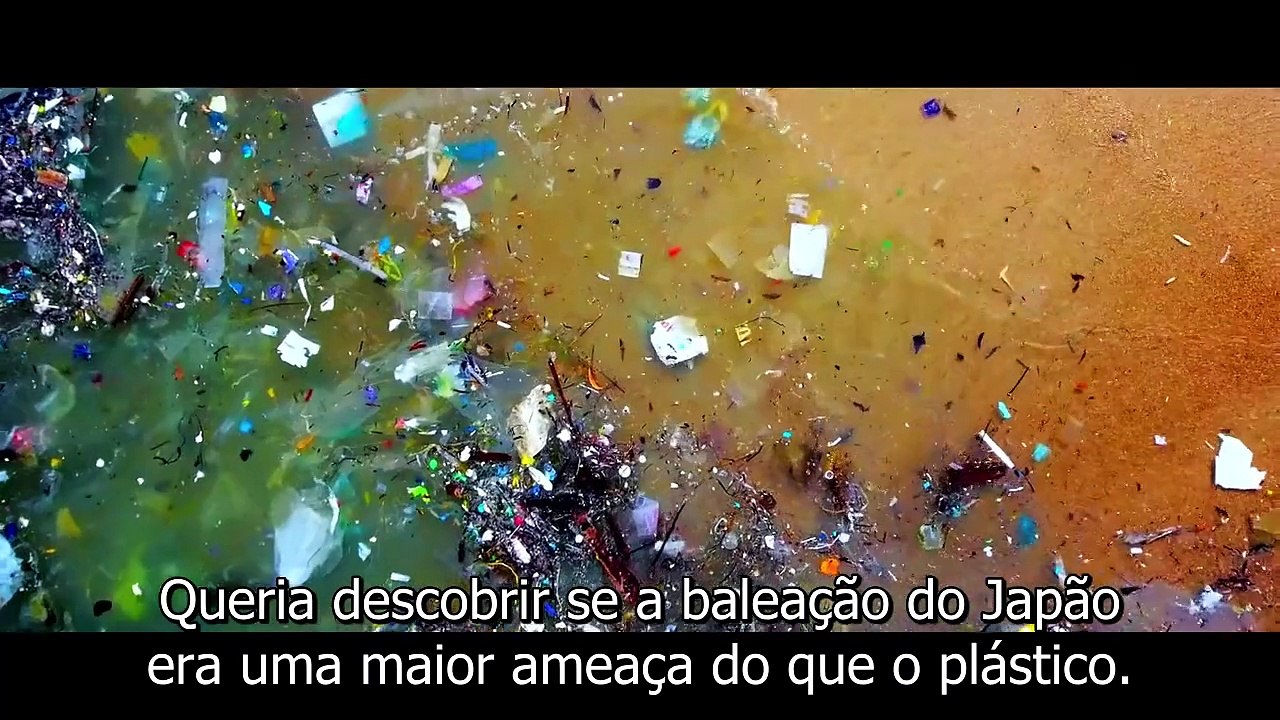 Seaspiracy 2021 - Legendado