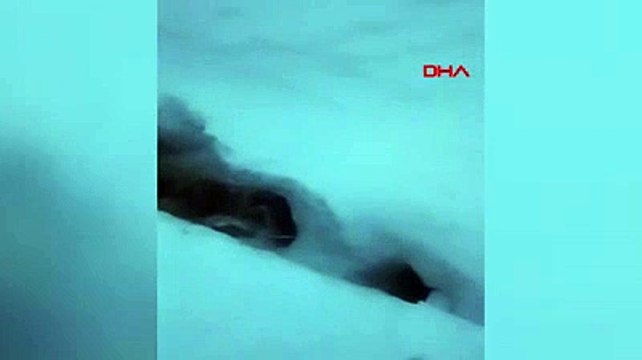 Çığ değil kabus! 4 evin üzerine çığ düştü 11 kişi çığ altında kaldı