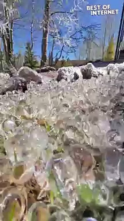 Chilling Beauty: Frosty Grass! ❄️✨ || Best of Internet