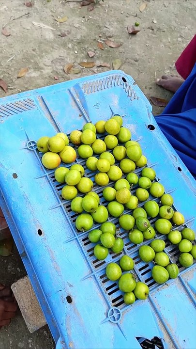 রাস্তার ধারে বসে কুল বিক্রি করছে ছোট এই বাচ্চা দুজন #emotion