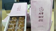 [경기] 시흥시, 농가와 협업해 '시흥버섯샌드쿠키' 출시 / YTN