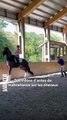 Le cavalier américain Cesar Parra a été suspendu pour maltraitance sur son cheval après la publication de vidéos et photos montrant son animal ensanglanté