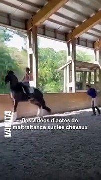 Le cavalier américain Cesar Parra a été suspendu pour maltraitance sur son cheval après la publication de vidéos et photos montrant son animal ensanglanté