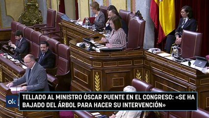 Tellado al ministro Óscar Puente en el Congreso: «Se ha bajado del árbol para hacer su intervención»