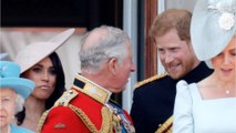 The truth behind Prince Harry and King Charles' very short meeting explained by royal experts