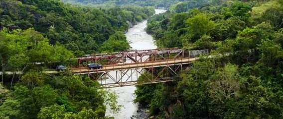 Freelance Trailer Showcase 🎬