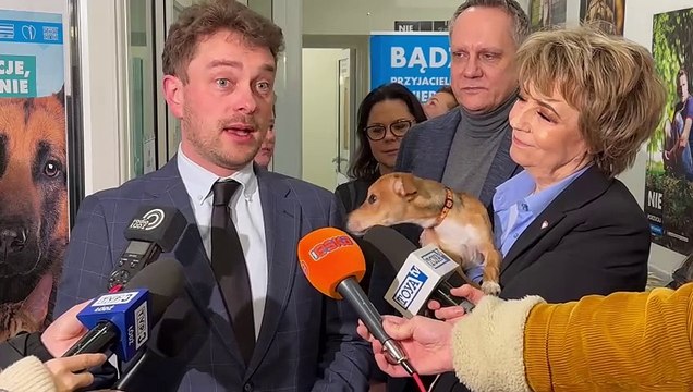 Nabór Wolontariuszy w łódzkim schronisku dla zwierząt
