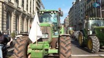 La revuelta de los agricultores gana su primera batalla 2.000 tractores entran en Barcelona