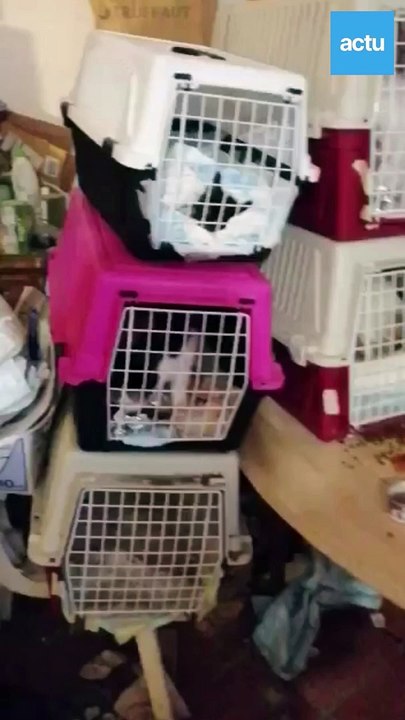 Comment sauver un animal maltraité ?