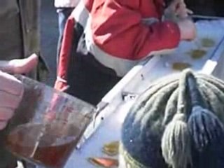 Chalet de l'Erable 'extérieu'