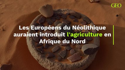 Les Européens du Néolithique auraient introduit l'agriculture en Afrique du Nord