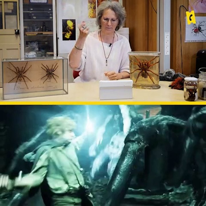 Les araignées au cinéma : une arachnologue nous débrief les scènes de films avec des araignées