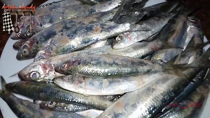 طريقة عمل صينية السردين بالزيت والليمون