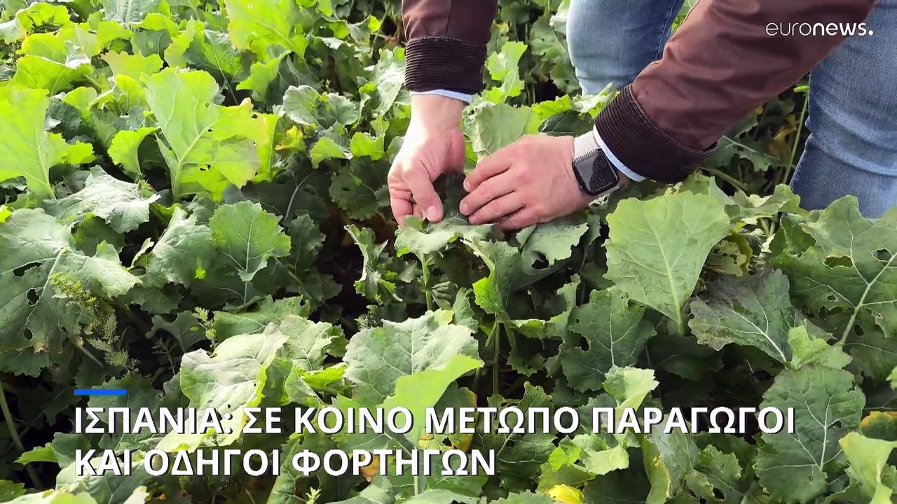 Ισπανία: Κοινό μέτωπο αγροτών, κτηνοτρόφων και οδηγών φορτηγών