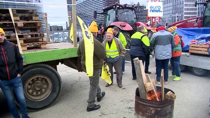 Los eurodiputados piden repensar la Política Agrícola Común