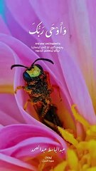 ماتسير من سورة النحل بصوت عبدالباسط عبدالصمد️