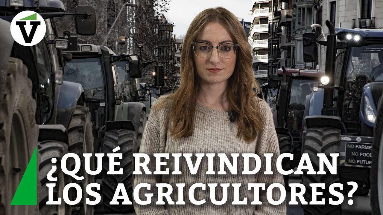 ¿Por qué protestan los agricultores españoles y qué reivindican con sus ‘tractoradas’?