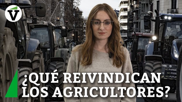 ¿Por qué protestan los agricultores españoles y qué reivindican con sus ‘tractoradas’?
