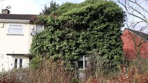 House swallowed by trees in Birmingham allowed to grow out of control for 40 years