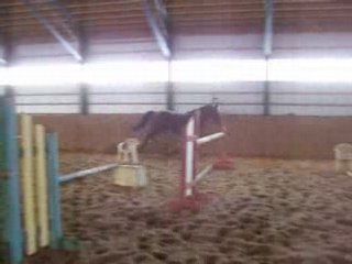 Aramisse des Pins saut libre 2 avril 2008