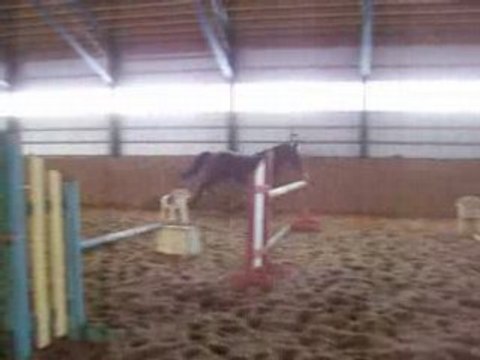 Aramisse des Pins saut libre 2 avril 2008