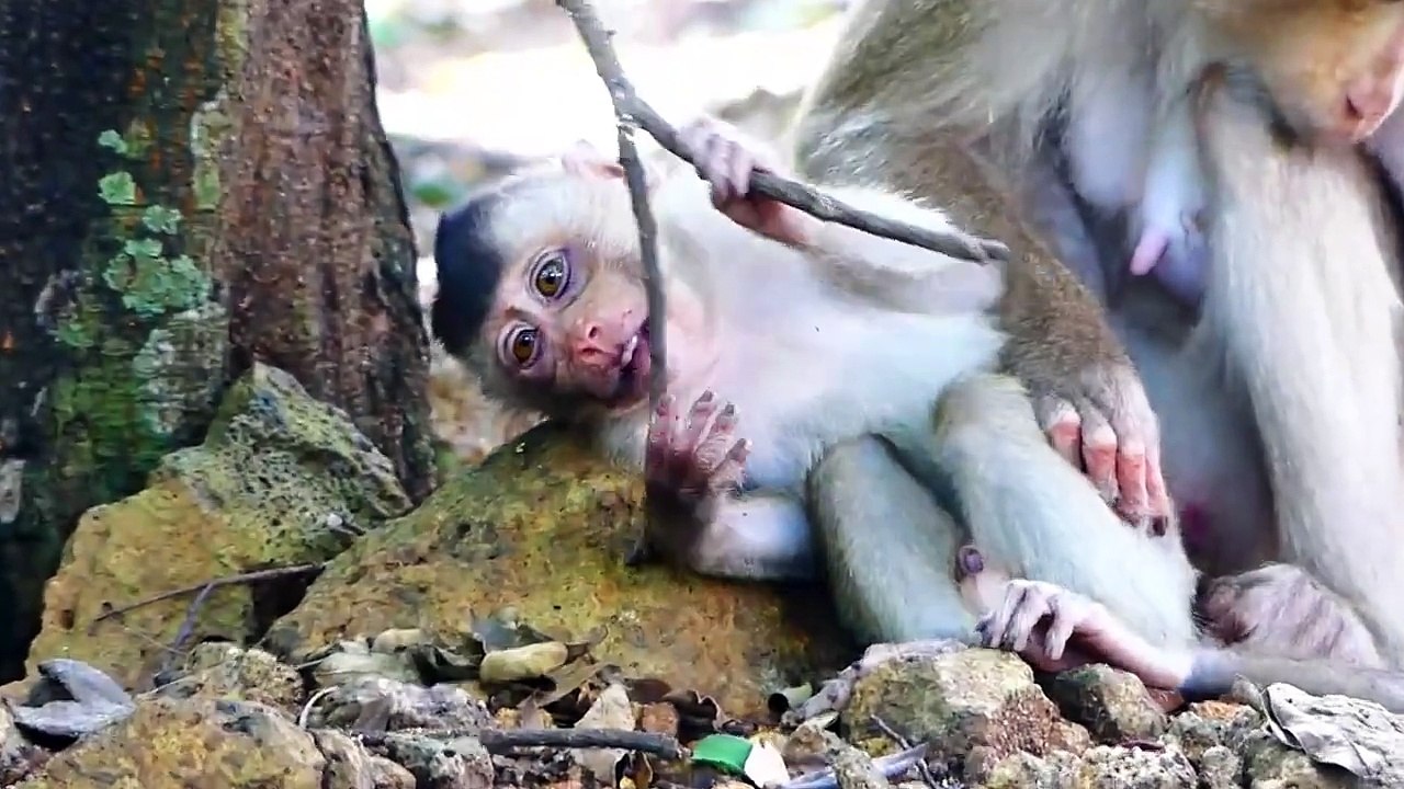 Sada baby feel reaction with eye accidence, mother try harder to treat baby (720p_25fps_H264-192kbit_AAC)
