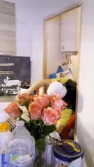 Pascal La Cascade Part.1 