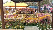 La Feria de las Flores se realizará este 2024