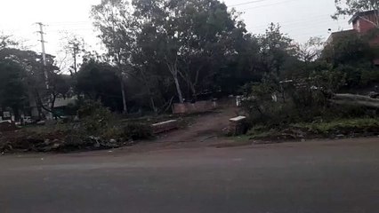 हरियाली पर प्रहार: सौ से अधिक पेड़ चिन्हित, सड़क के लिए होगी कटाई