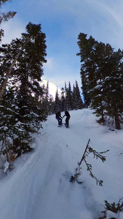 Snowboarders Crash Into Trees