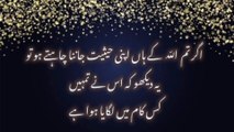 Heart Touching and Amazing Urdu Quotes Collection - Aqwal e Zareen -YB Writes