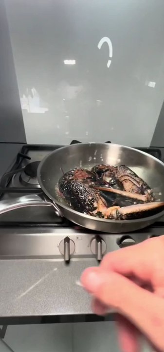 Combat de Chefs