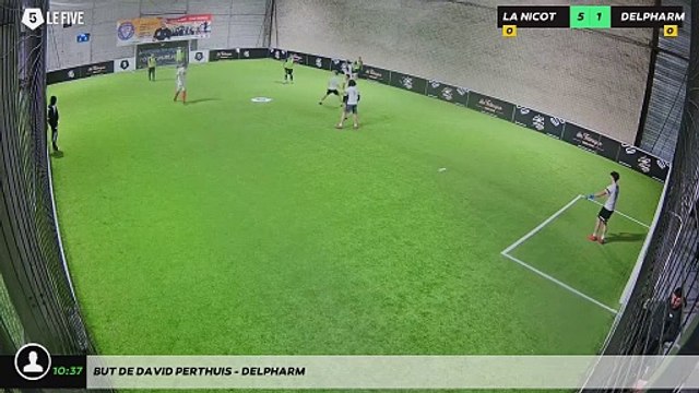 But de DAVID PERTHUIS - DELPHARM