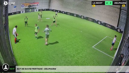 But de DAVID PERTHUIS - DELPHARM