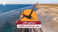 ديناصور طائر» على شواطئ اسكتلندا»