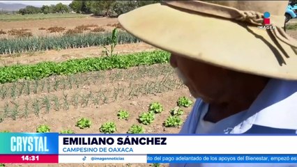 Por segunda ocasión la sequía afecta la siembra en Oaxaca